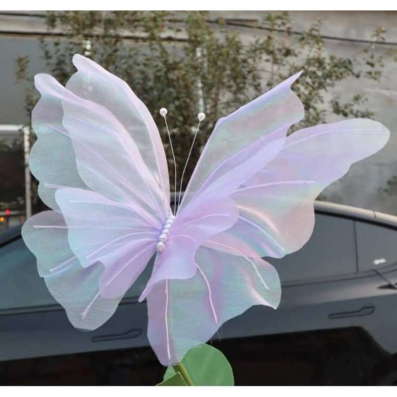 Bướm vải 50cm