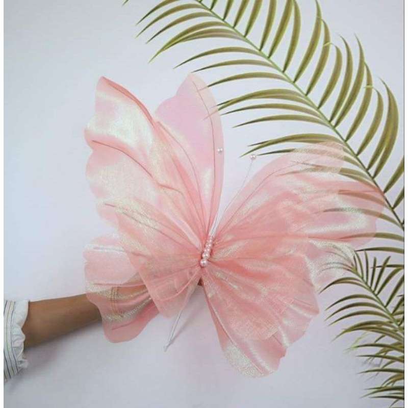 Bướm vải 50cm