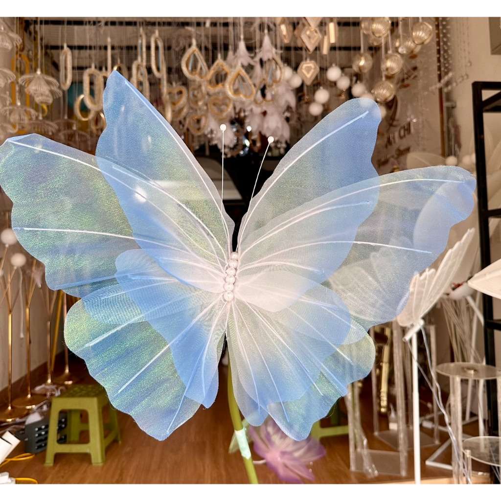 Bướm vải 50cm
