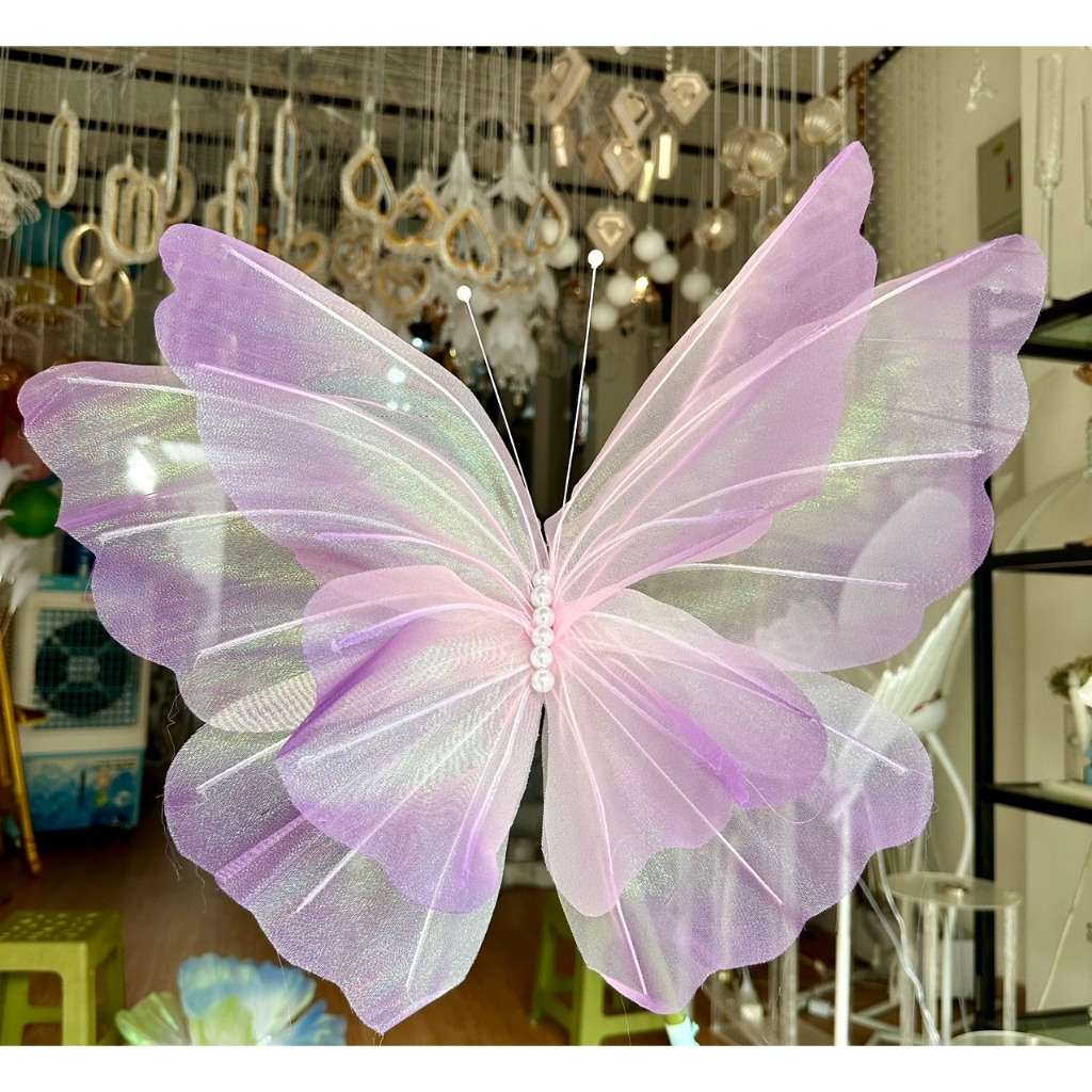 Bướm vải 50cm