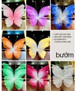 Bươm bướm bằng vải voan cánh kép size khổng lồ 60cm, 80cm,100cm trang trí, decor studio chụp ảnh